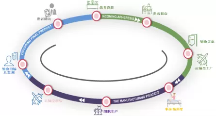 CAR-T细胞治疗全流程管理 CAR-T细胞治疗全流程管理