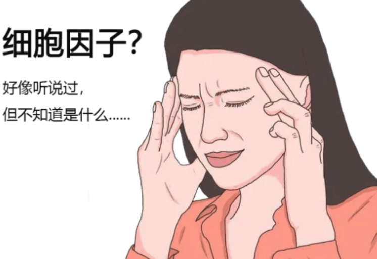 认识检查 | 细胞因子