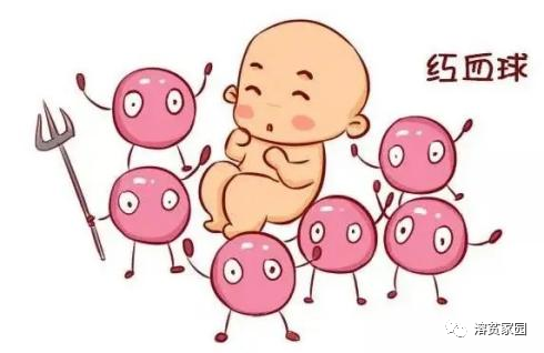 认识检查 | 胆红素——血细胞的代谢产物