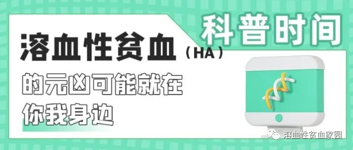 科普时间 | 溶血性贫血(HA)的元凶可能就在你我身边