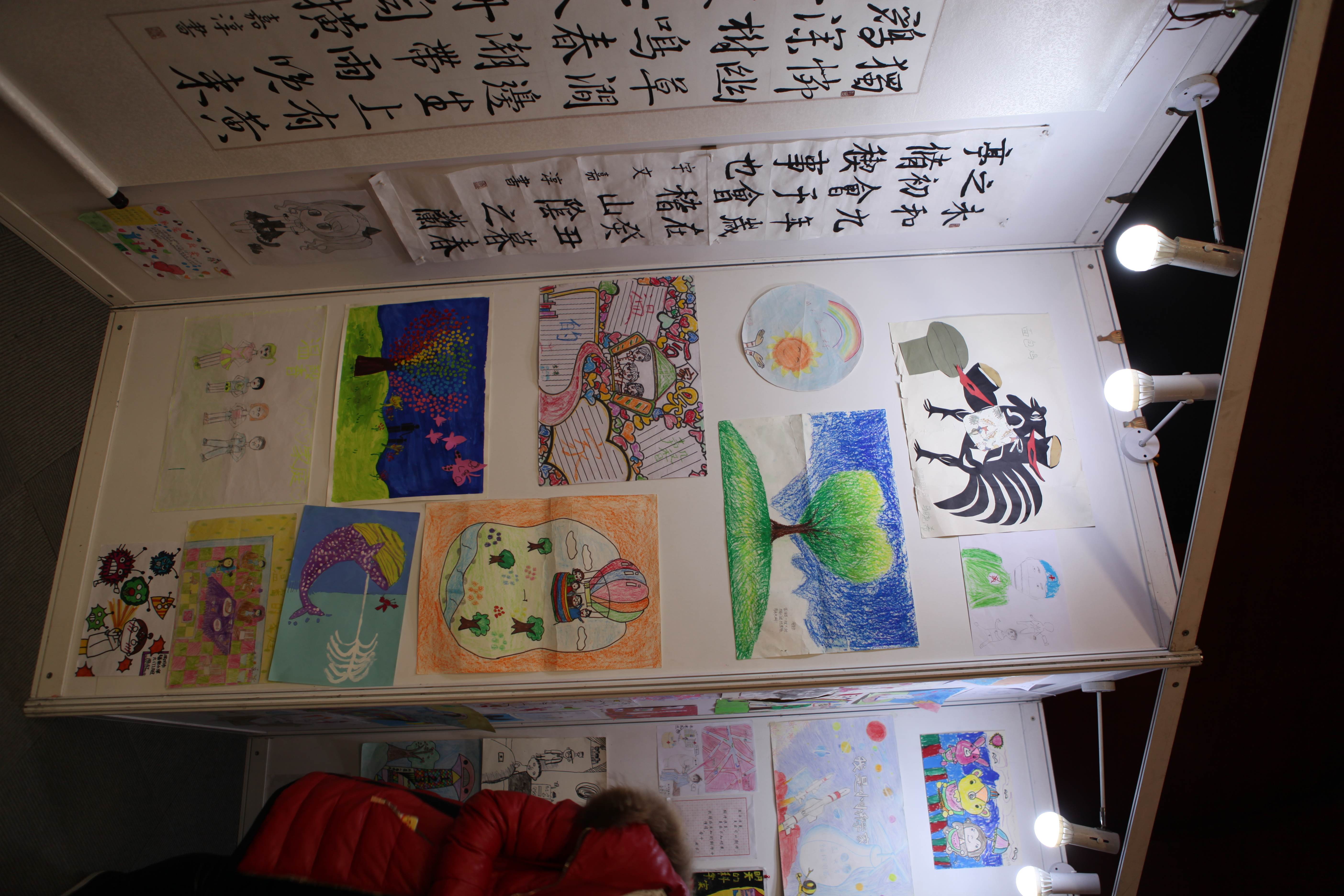 第二届“中国血小板日” 北京站 2017