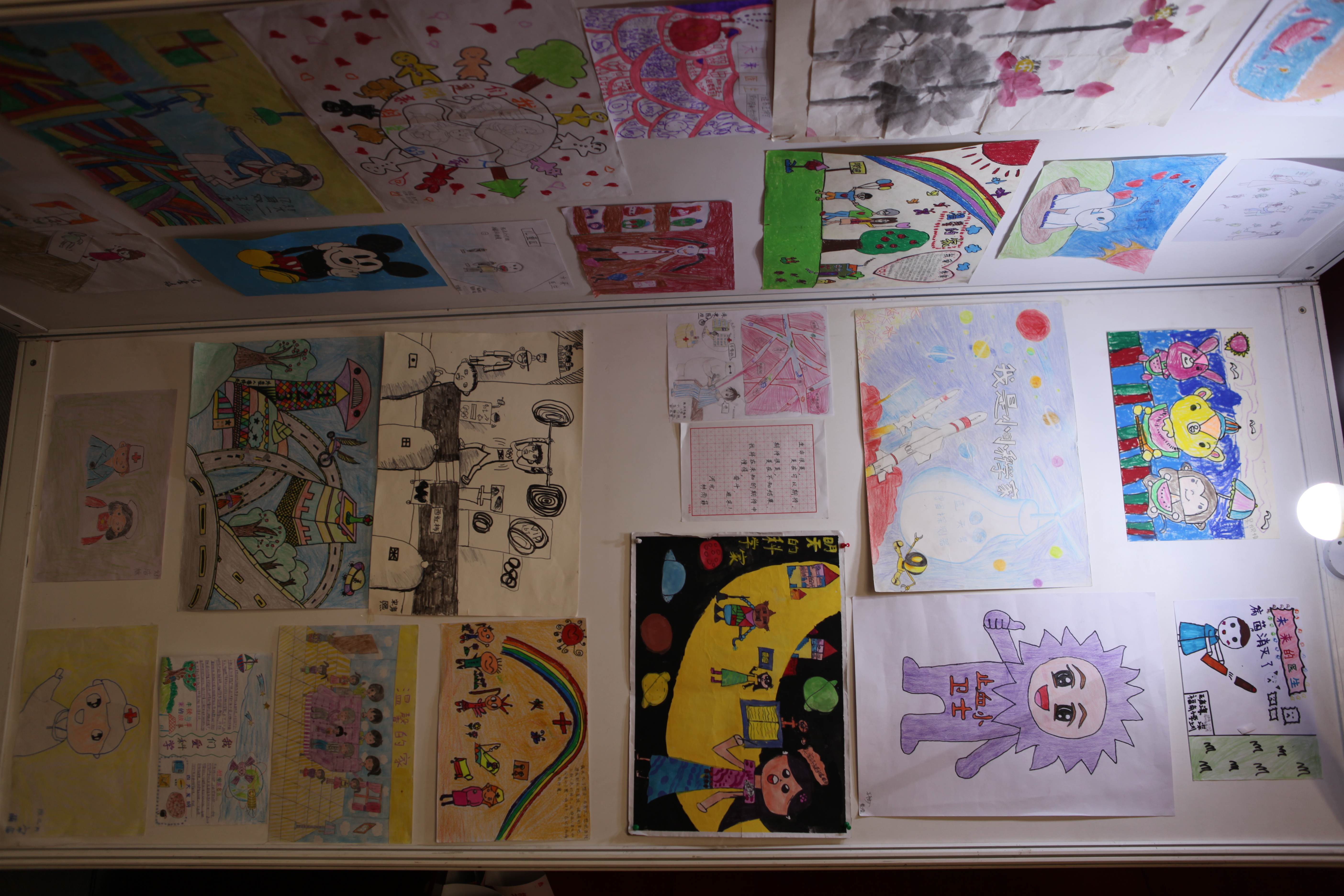 第二届“中国血小板日” 北京站 2017