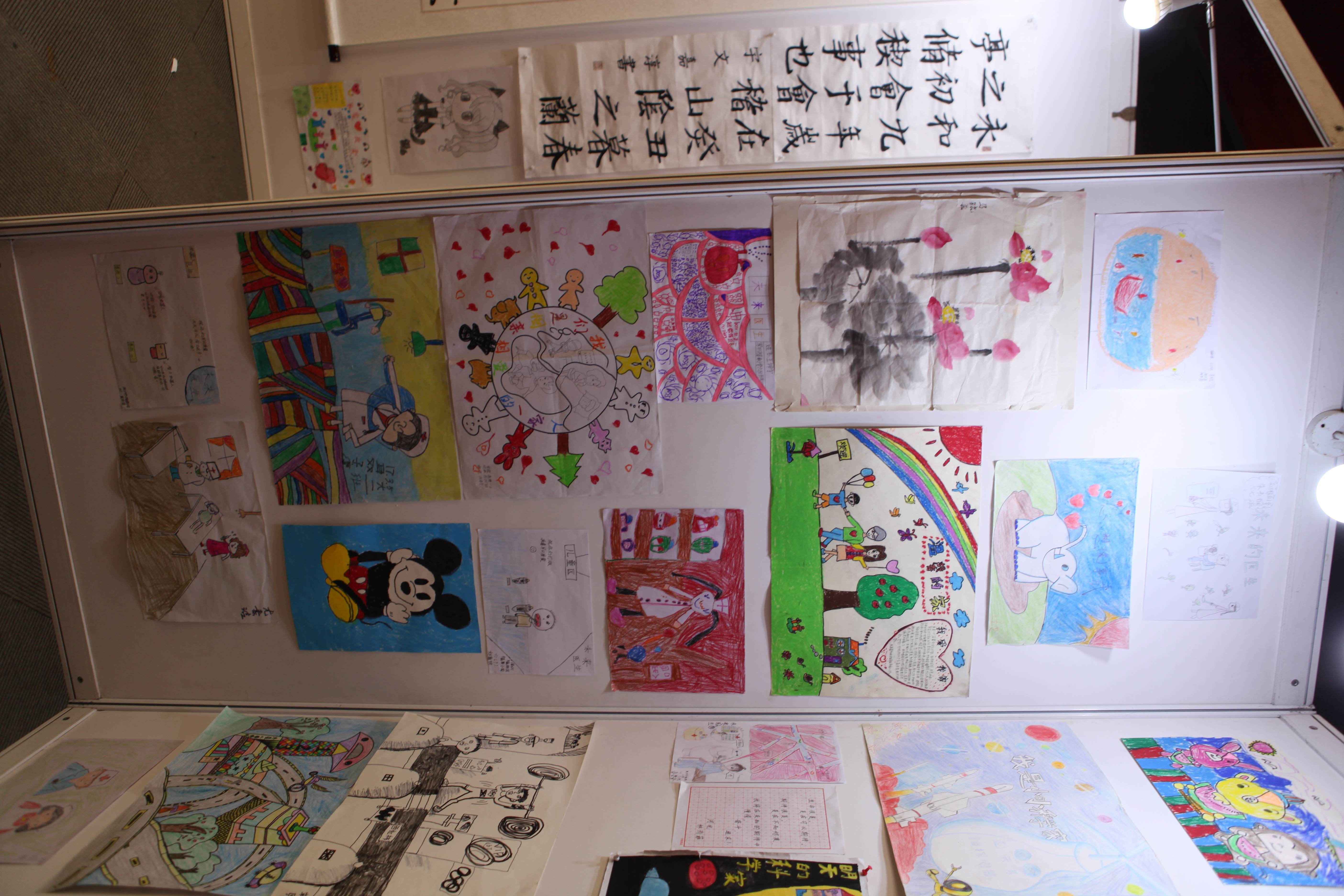 第二届“中国血小板日” 北京站 2017