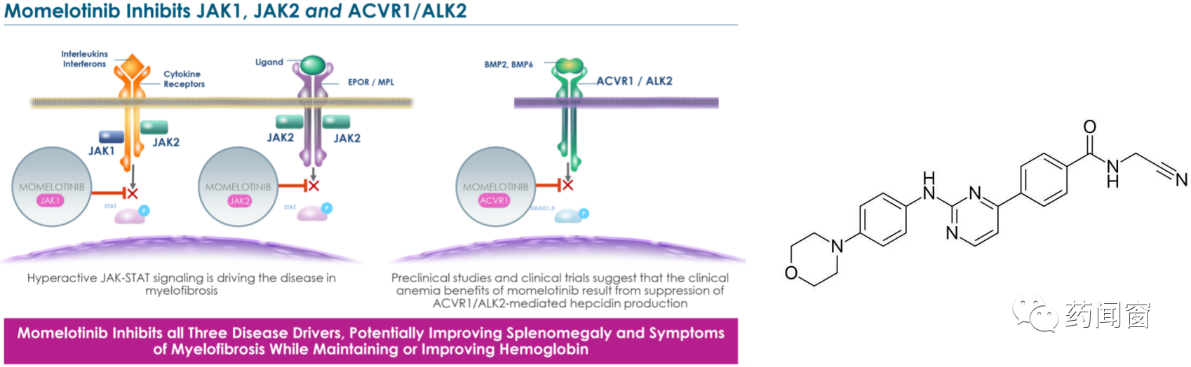 创新药系列：Momelotinib