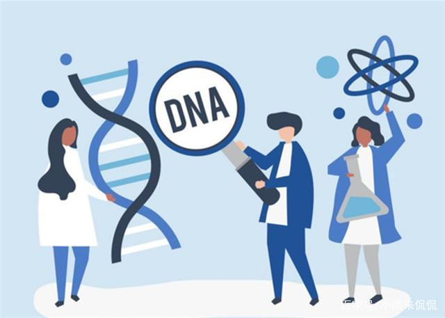 图片2.png 基因突变是骨髓增殖性肿瘤(MPN)的幕后黑手吗?