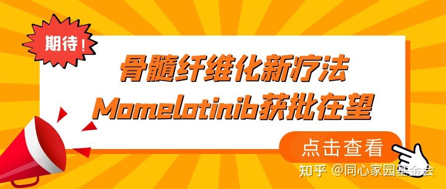 期待!骨髓纤维化新疗法Momelotinib获批在望