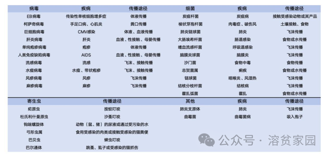 认识疾病 | 感染性溶血性贫血