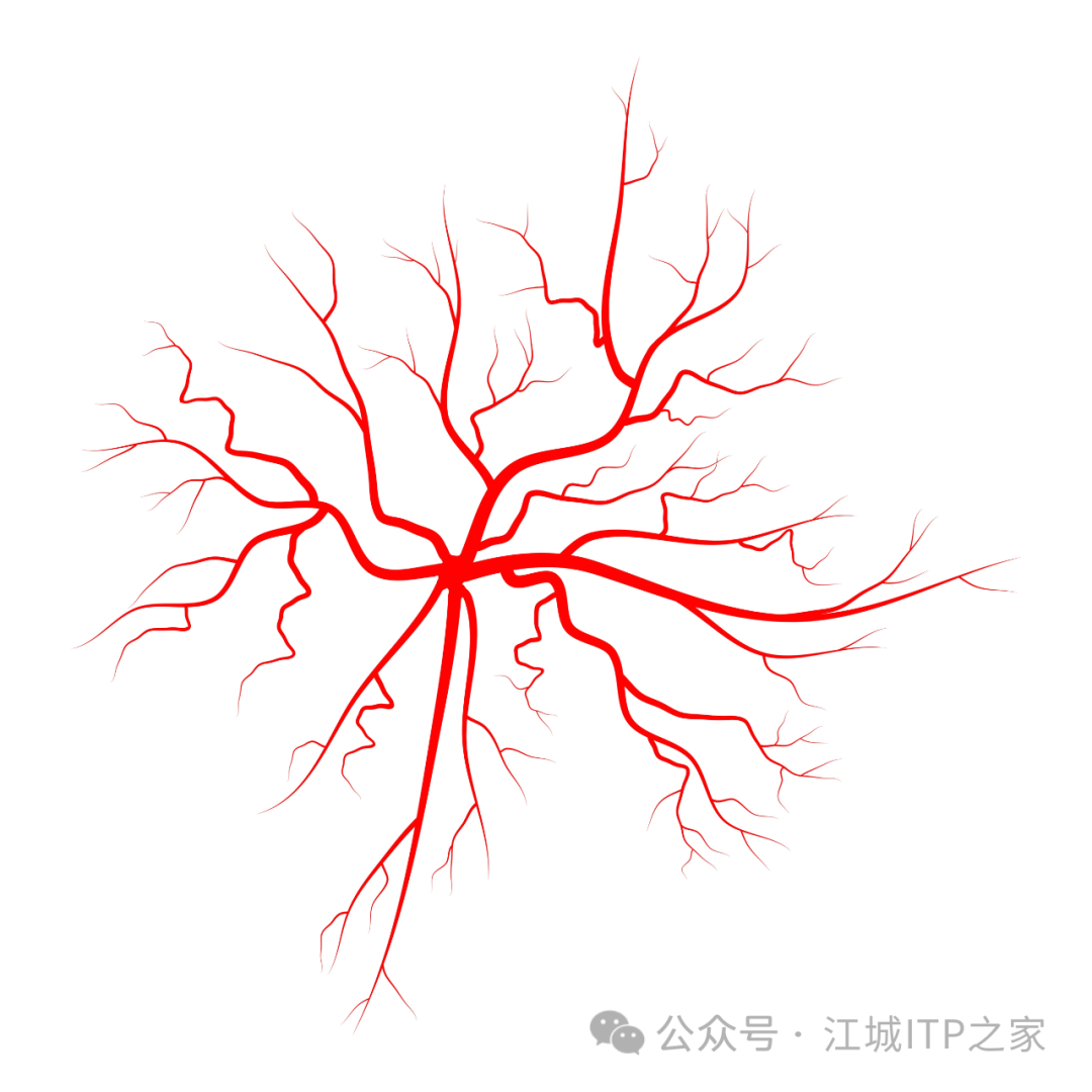大咖零距离 | 李登举教授剖析疫苗与血小板减少的奥秘 大咖零距离 | 李登举教授剖析疫苗与血小板减少的奥秘