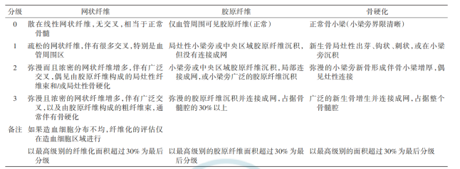 认识检查 | 骨髓活检报告如何看?