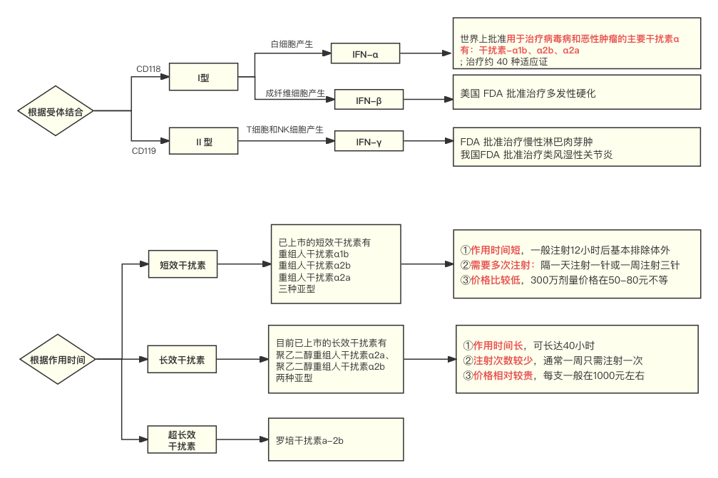 科普时间 | “干扰素”佳丽众多,MPN患者为何“独宠”我一人?