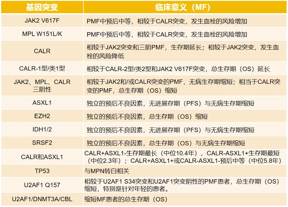 科普时间 | MPN基因突变分别代表了什么临床意义？一文全解悉！