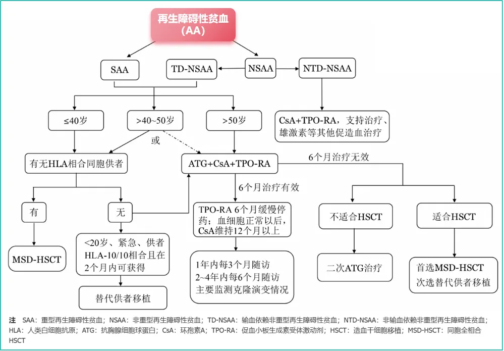 科普时间 | 再障患者做造血干细胞移植,提前做好准备,可要注意这些!!