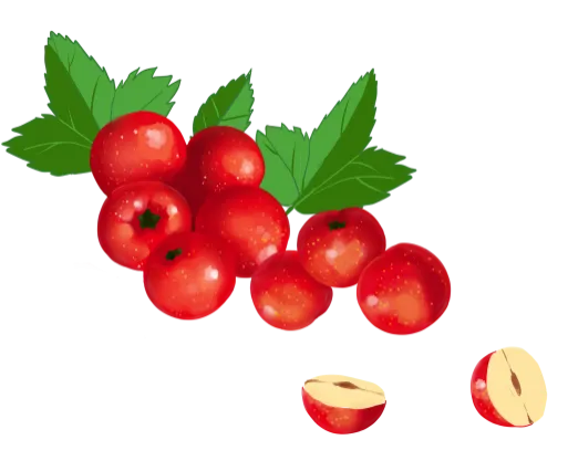 科普时间 | ET病友看过来!中医说:有利降板,血小板高得这么吃,才放心~