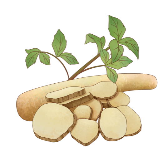 科普时间 | 常规治疗再加把“草药”的力，再障患者更有底气？