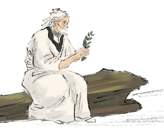 科普时间 | 再障移植中的中医支持：温柔守护，助力重生