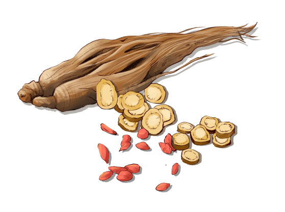 科普时间 | 再障移植中的中医支持：温柔守护，助力重生