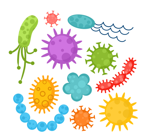 科普时间 | 保驾护航！再障的支持治疗有这些~