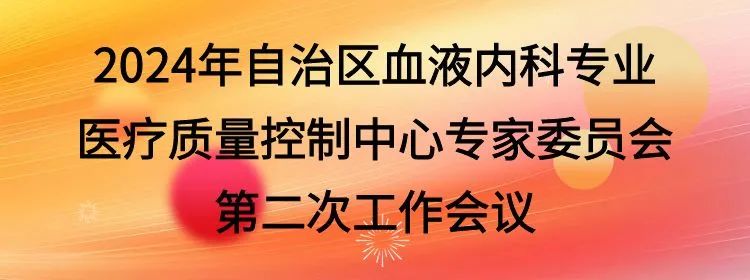 2024 年自治区血液内科专业医疗质量控制中心专家委员会第二次工作会议项目
