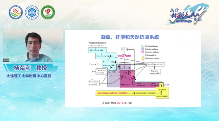 活动报道 | 爱满东北，公益同行——2024东北出凝血疾病论坛圆满落幕！