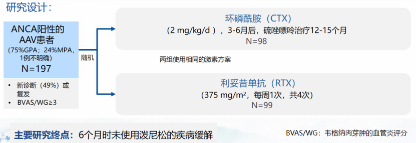 王艳洁教授深入解读:解读RAVE研究——利妥昔单抗在AAV治疗中的非劣效性