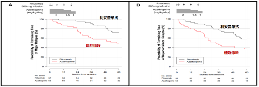 马晶晶教授深入解读:MAINRITSAN研究——RTX对比硫唑嘌呤治疗AAV缓解的对照研究