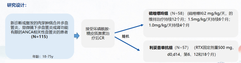 马晶晶教授深入解读:MAINRITSAN研究——RTX对比硫唑嘌呤治疗AAV缓解的对照研究