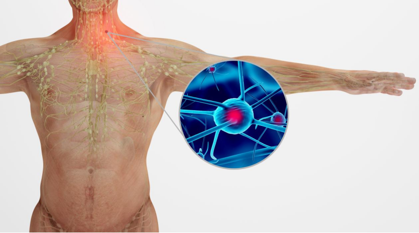孙玉娇教授深入解读：侵袭性巴瘤的发病机制