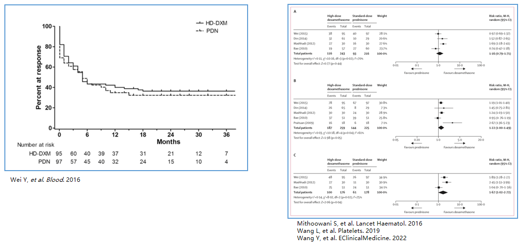 专家讲座 | 侯明教授分享成人ITP治疗齐鲁经验