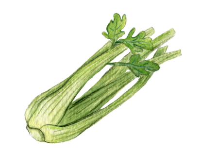 科普时间 | ITP患者饮食禁忌，这些可不能乱吃~