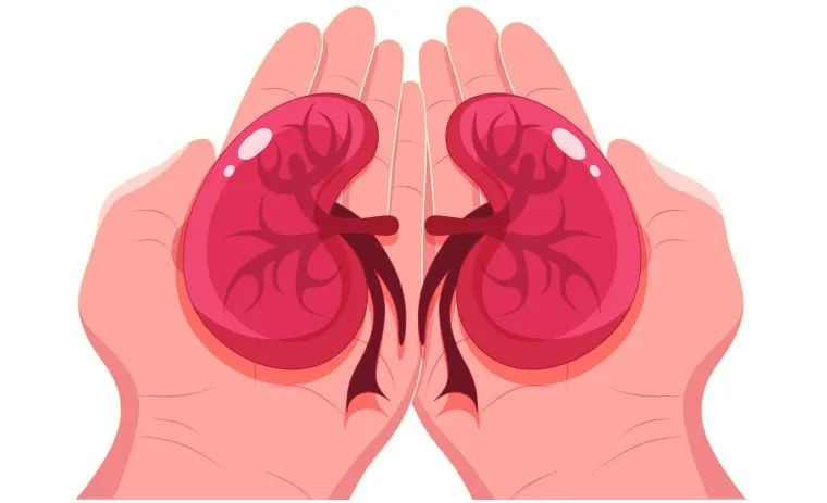 认识疾病 | PNH患者与高血压：一场“血压与血液”的微妙博弈