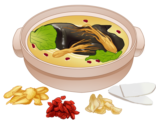 科普时间 | 再障食补:药膳方子与日常饮食指南