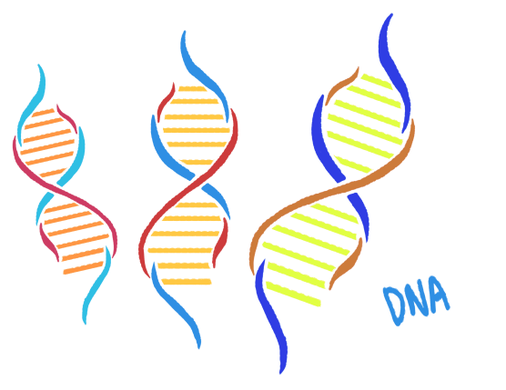 Q&A | 大揭秘！MPN基因突变到底会不会遗传？