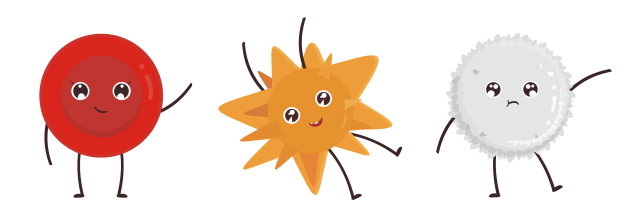 科普时间 | ITP的骨髓象解析:窥探骨髓的“秘密档案”