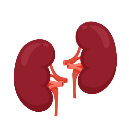 认识检查 | 咦?再障连这个都得查!肌酐高有何深意