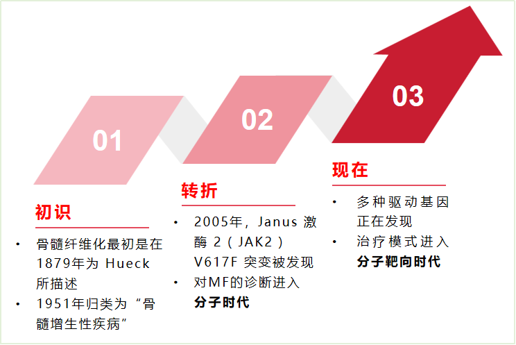 科普时间 | 靶向治疗才是骨髓纤维化的治疗基石,看JAK抑制剂如何从“根源”上治疗MF