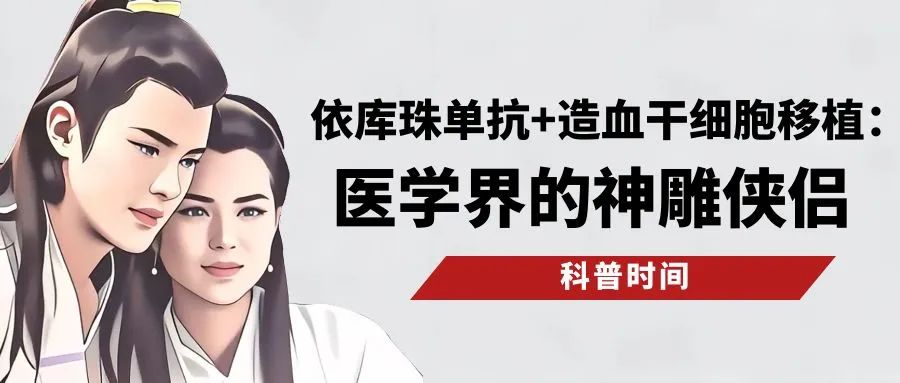 科普时间 | 依库珠单抗+造血干细胞移植:医学界的神雕侠侣
