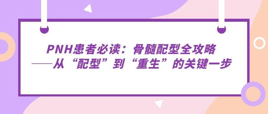 认识疾病 | PNH患者必读：骨髓配型全攻略——从“配型”到“重生”的关键一步