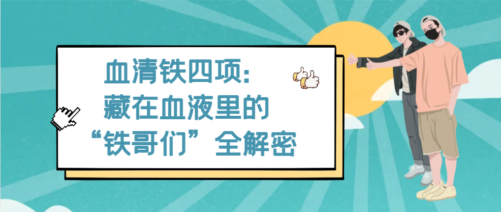 认识检查 | 血清铁四项：藏在血液里的“铁哥们”全解密