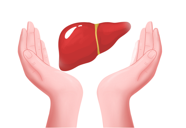 认识药物 | 药物之“矛”伤己？保肝之“盾”来防！