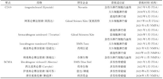科普时间 | CAR-T细胞疗法:抗癌“特种部队”的全解析,患者必读指南