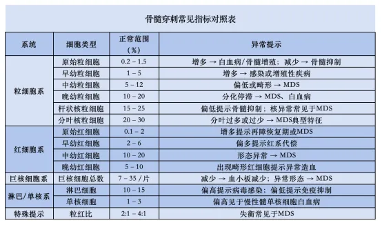 认识检查 | 骨髓穿刺：MDS患者不得不懂的“造血流水线体检单”