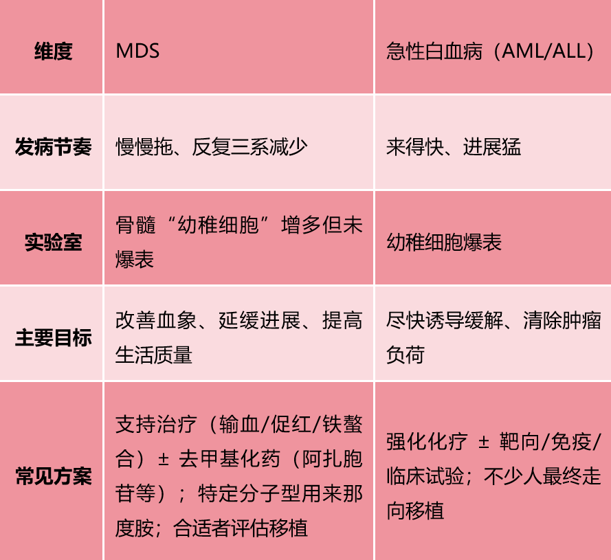 Q&A | MDS是不是白血病?
