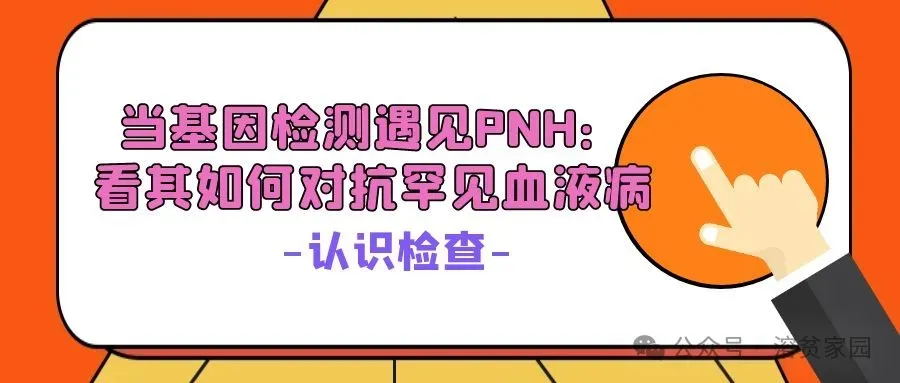 年度盘点 | 2025年“溶贫家园”精彩文章大合集来啦!