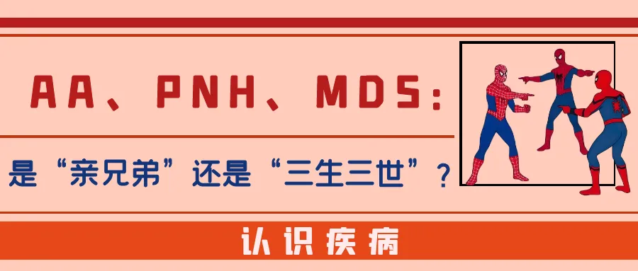 年度盘点 | 2025年“MDS家园”精选文章大合集来啦！