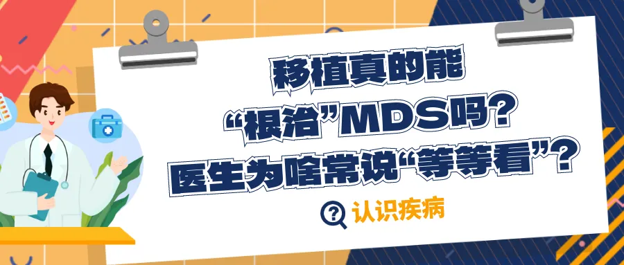 年度盘点 | 2025年“MDS家园”精选文章大合集来啦！