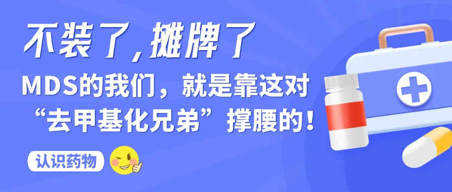 年度盘点 | 2025年“MDS家园”精选文章大合集来啦！