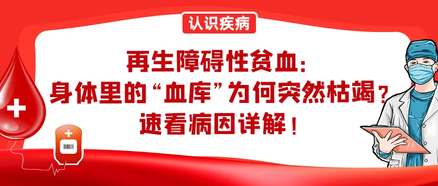 年度盘点 | 2025年“再障家园”精彩文章大合集来啦！
