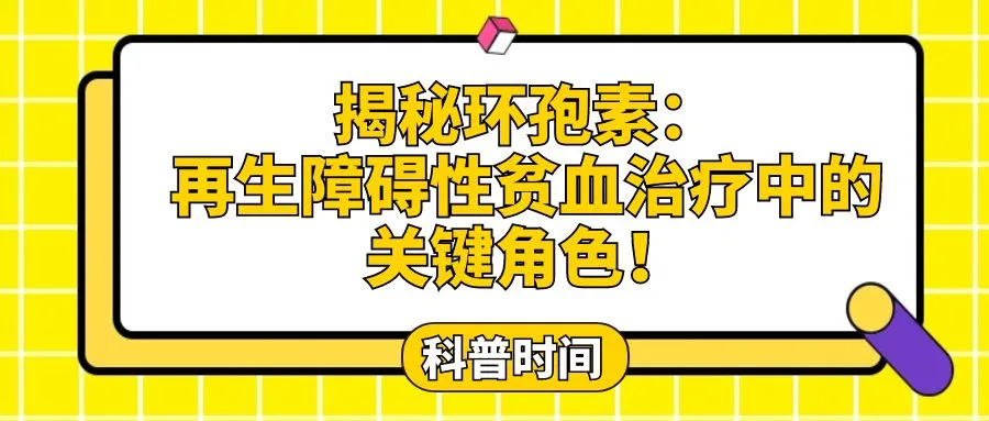 年度盘点 | 2025年“再障家园”精彩文章大合集来啦！