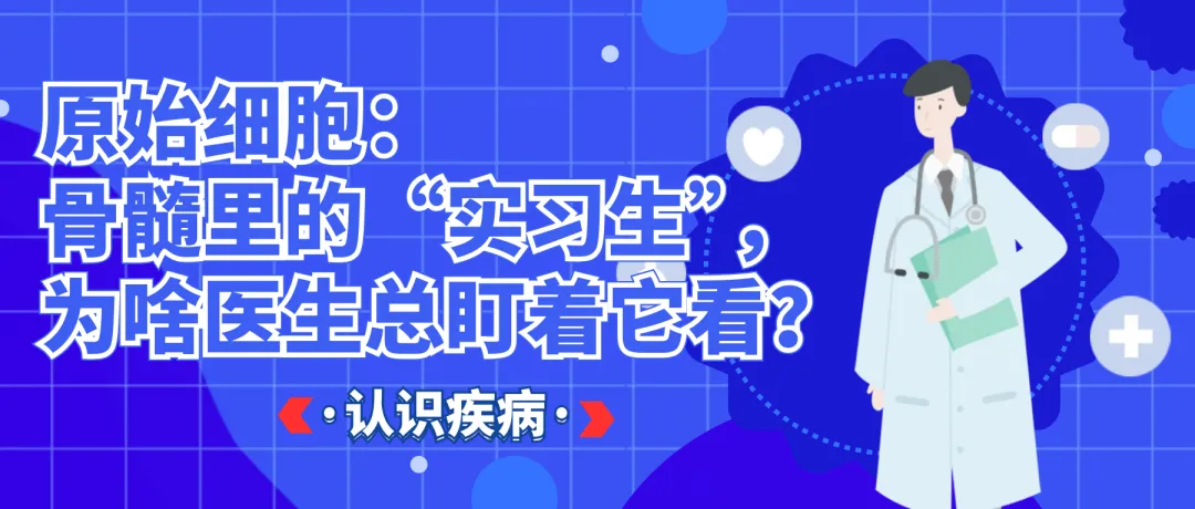 认识疾病 | 原始细胞:骨髓里的“实习生”,为啥医生总盯着它看?