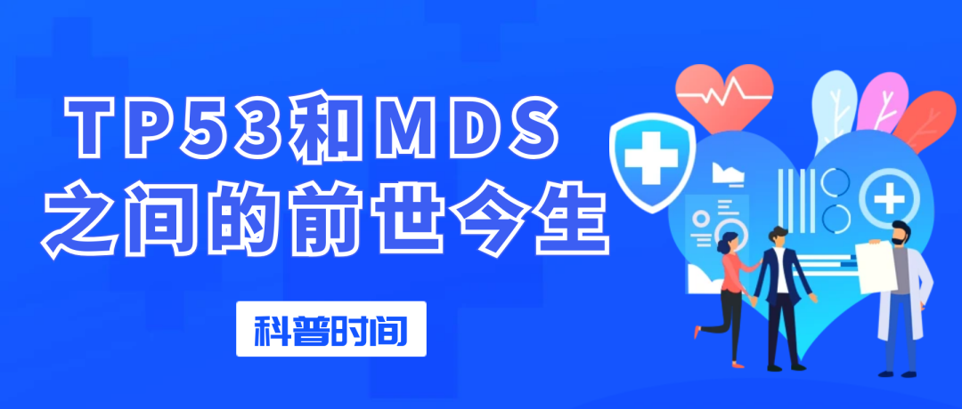 科普时间 | TP53 和 MDS 之间的前世今生